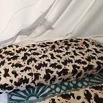 Les Flots De Ma Vie D Hotes Et Tipi Florence Et Virginie Gossin Pensionat 3*
