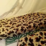 Les Flots De Ma Vie D Hotes Et Tipi Florence Et Virginie Gossin 3* Barzan