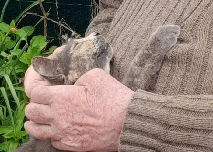 Les Flots De Ma Vie D Hotes Et Tipi Florence Et Virginie Gossin Barzan